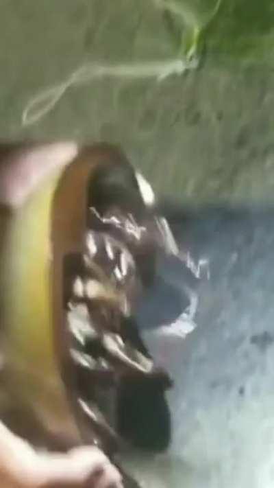 Simplemente curioso 👀