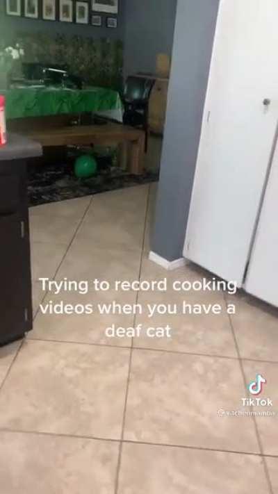 She put some growl in the second one