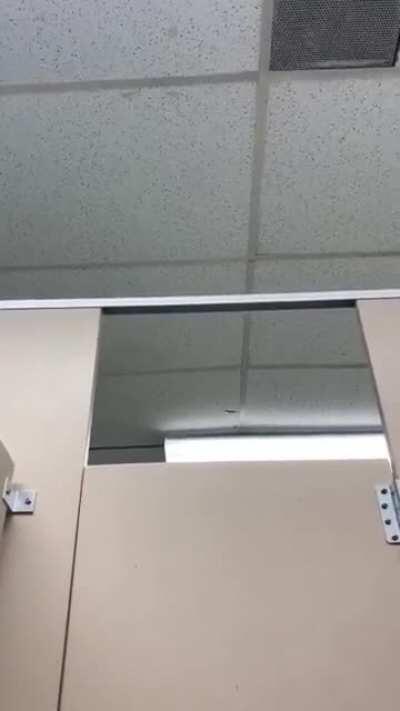 Just another day in the boys locker room