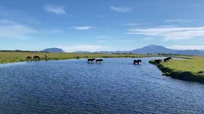 Minnivallalækur, Iceland [OC] 23. August 2020. I finally managed to go on a long planned fishing vacation. Iceland is certainly one of the places that has the most beautiful beauties of nature.