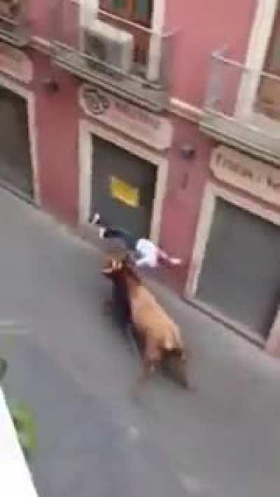 Toying with a wild beast