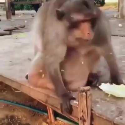 Orslokx en el futuro 😂😂