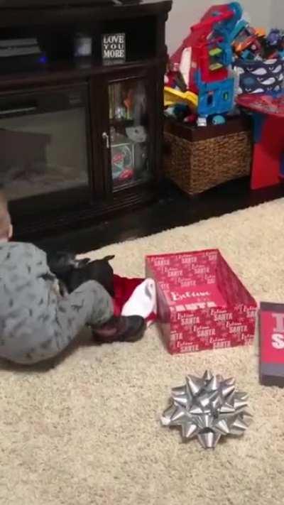 His reaction is priceless