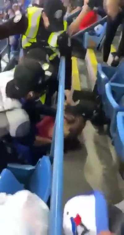 Swinging on a cop as you're being kicked out at the ballpark...