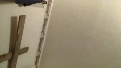 Caesar's Execution for his innumerable crimes