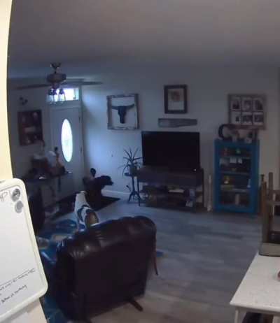 Mistakes were made..