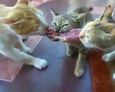 Three airplanes cannot share a meat