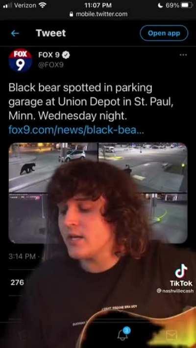 the good side of tiktok