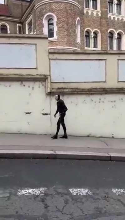 San Francisco man walks his pets