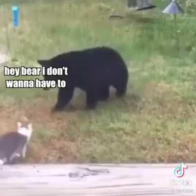 This is why (to me, this) cats are superior. (Credit goes to KLR Dubs of TikTok)