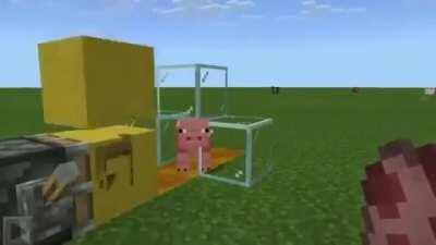 CLEAR ANIMAL ABUSE IN MEINKRAFT!!