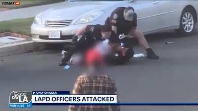 Pedophile assaults police officers with a chain.