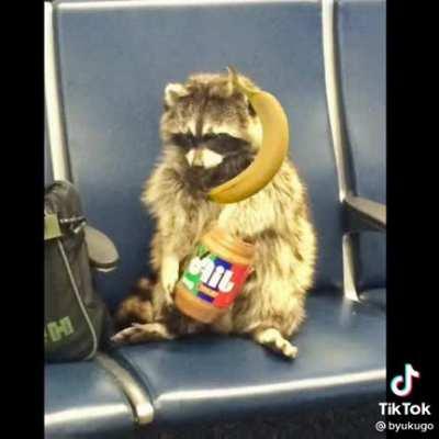 He is vibin on the bus with some peanut butter