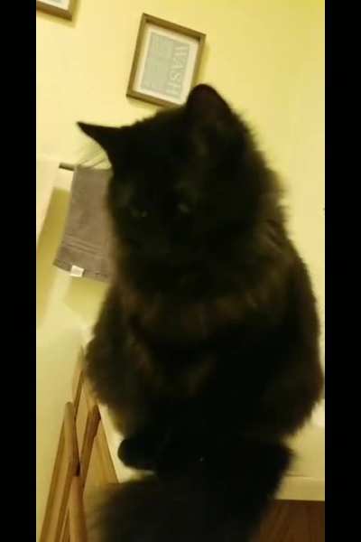 Kneady void