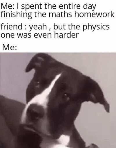 There was a physics homework?