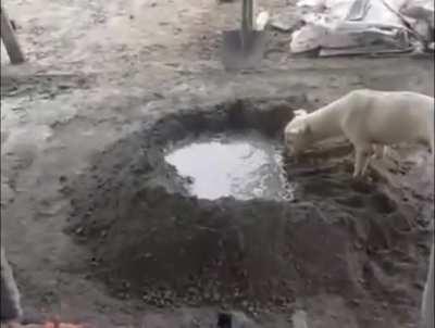 You guys are so lazy! We need to mix this ASAP