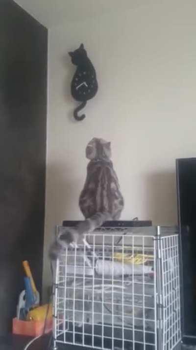 To catculate the time