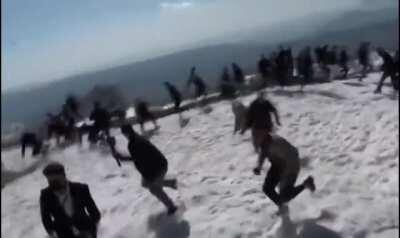 Bear getting released from captivity doesn’t go as planned