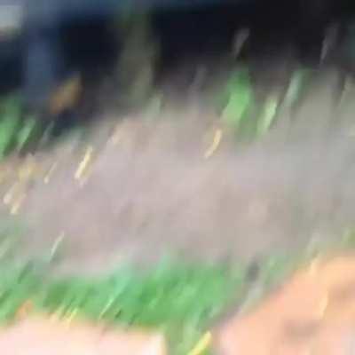 Bigger than I expected...