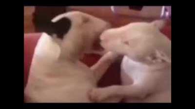 Top 5 walter moments