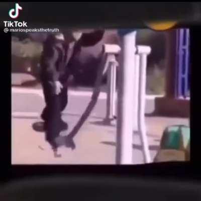 HMFT after I do everything wrong