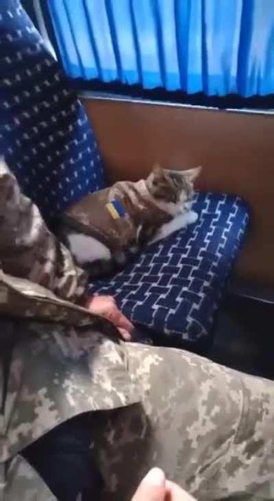 Ukrainian military cat is ready for winter
