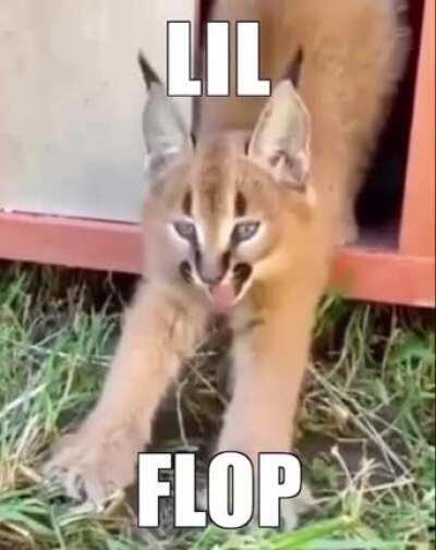 first Reddit post 😦