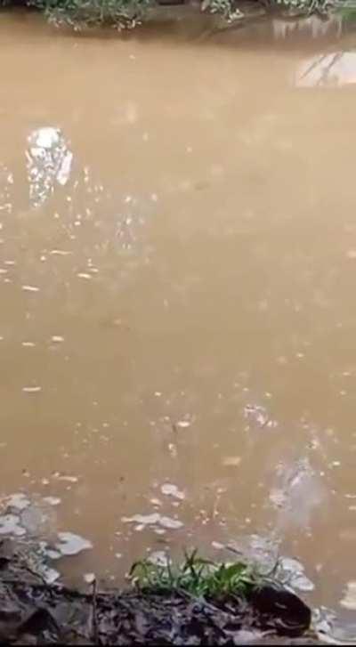 Imagine crossing this pool and someone started warning you in the language of Gods.