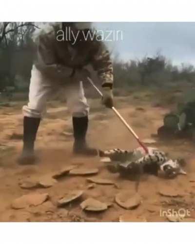 From a death sentence to a second chance in under a minute