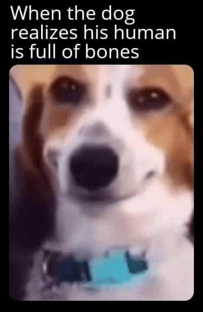 Ayo whatchu lookin at