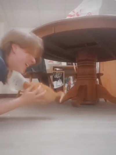 1 orange braincell + 1 cone of shame to stop the braincell from running off = tons of fun