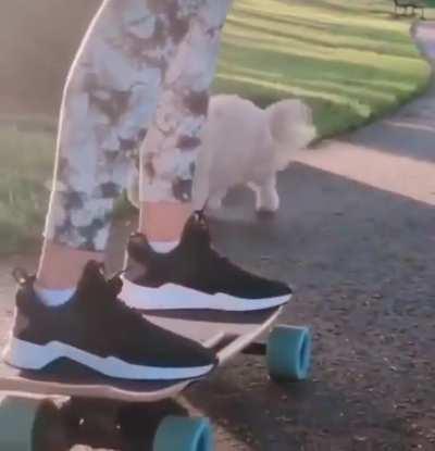 BeelcitosMemes - Video #1960