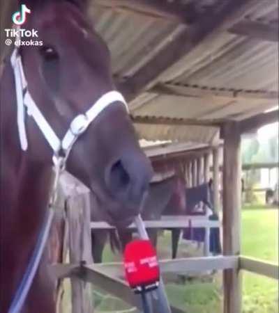 Pero la quería tanto.