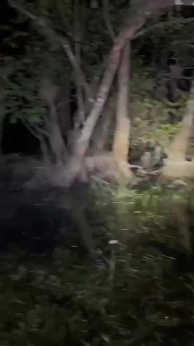 When death doesn't affect you