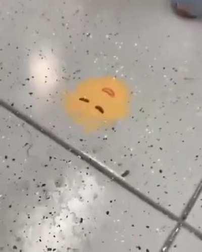 Challenge de biernes