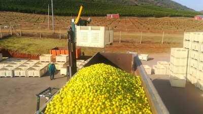 This pallet rotator.