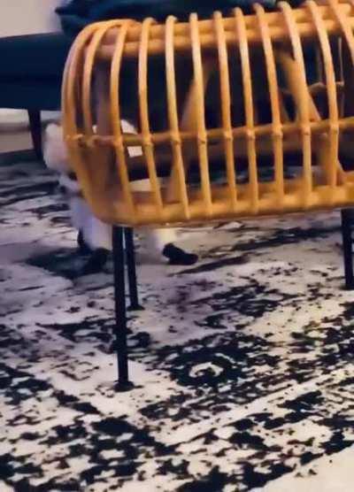 These boots were made for . . Walking?