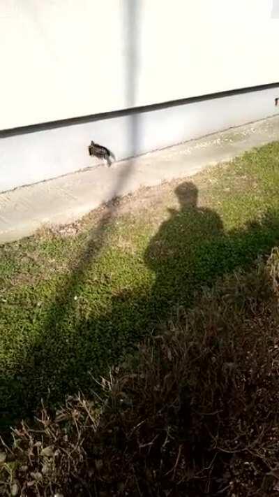 Thought this was appropriate