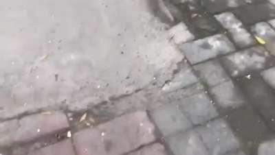 WCGW Playing cricket with a friend