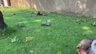 More horrible footage from gas truck explosion aftermath in Boksburg, South Africa. NSFL