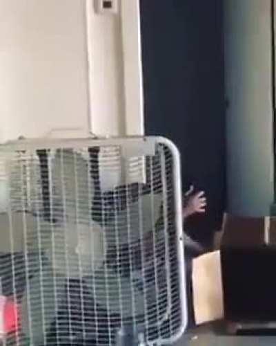 What could go wrong pretending to be gangster