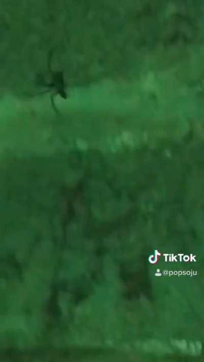 This guy’s terrifyingly hard