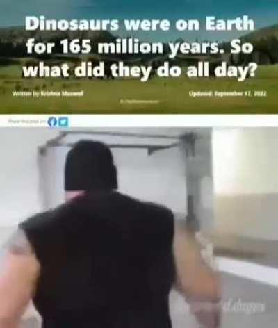 Dinosaur Go AAAA AAAAA AAAA!!!