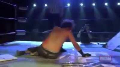 Using pigeon spikes in a wrestling match.