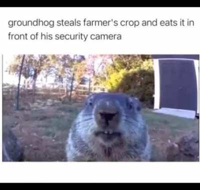 Bro said what u gonna do