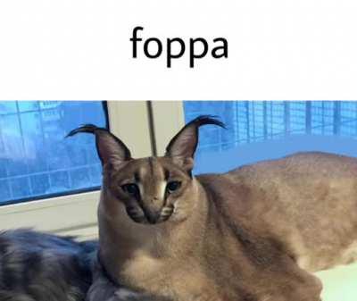 Foppa