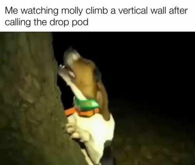 Every time I play Gunner