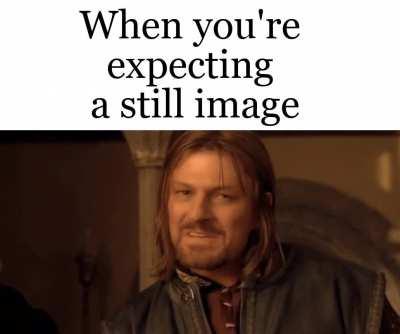 But they were all of them deceived