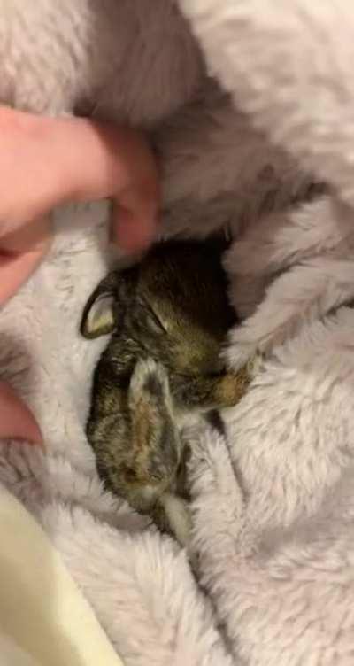 Oh yeah - that’s the spot!