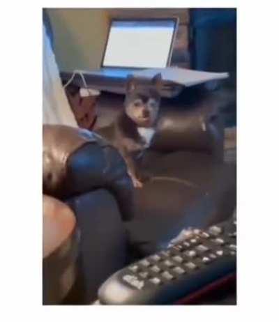 AAAAAAAAAAAAA! AAAA?